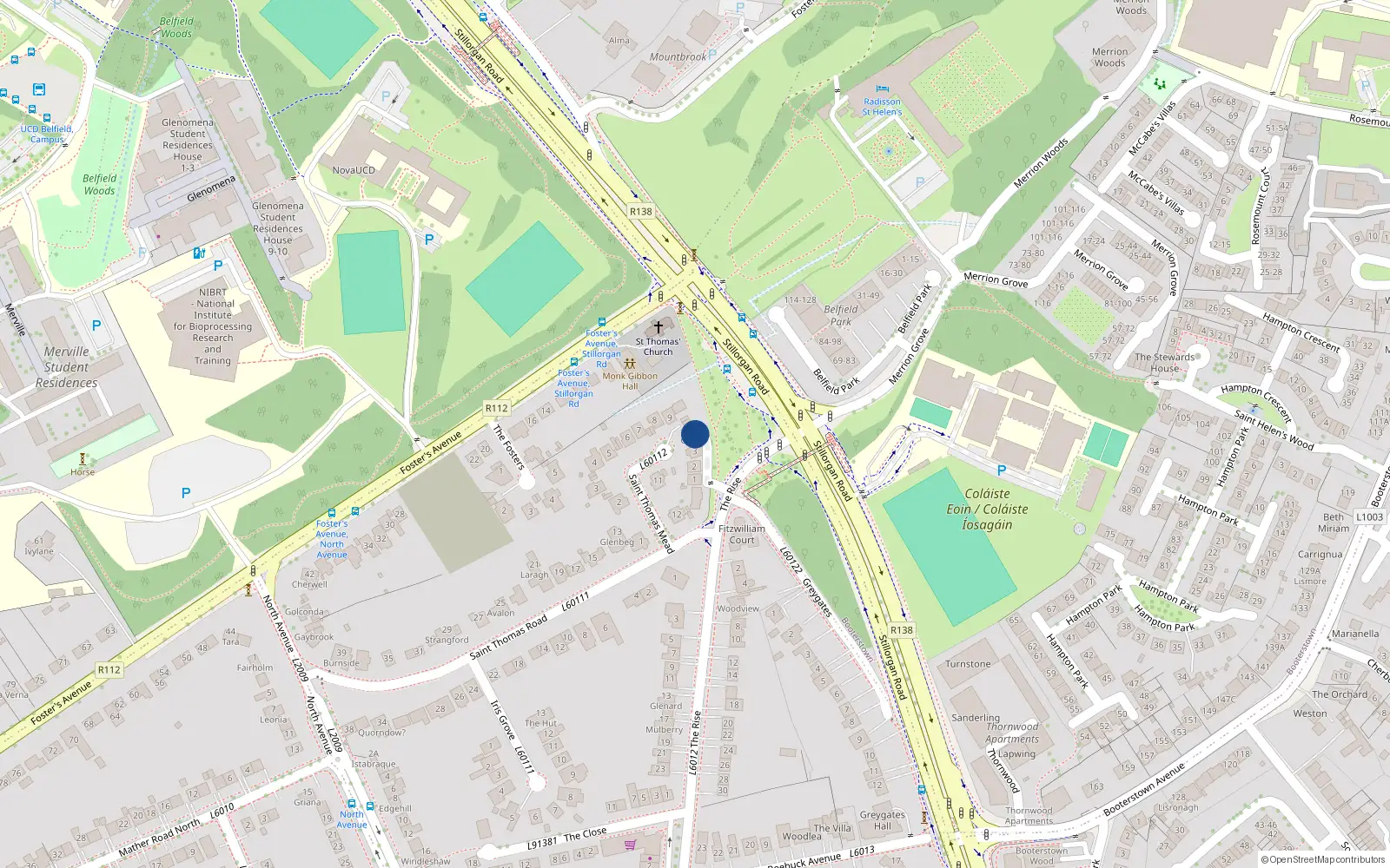 Overhead map showing the location of 10 St Thomas Mead, Mount Merrion