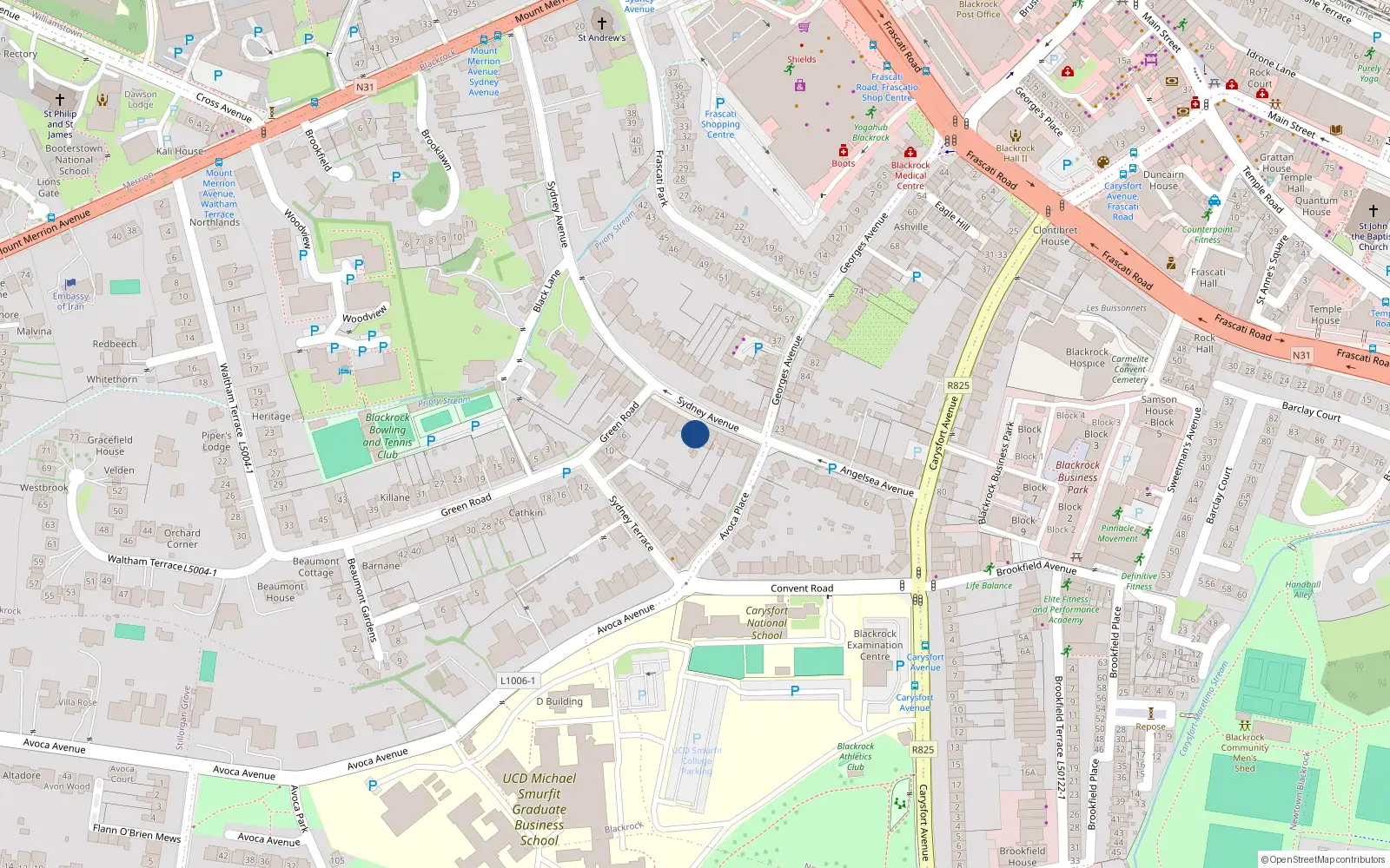 Overhead map showing the location of 10 Sydney Avenue, Blackrock