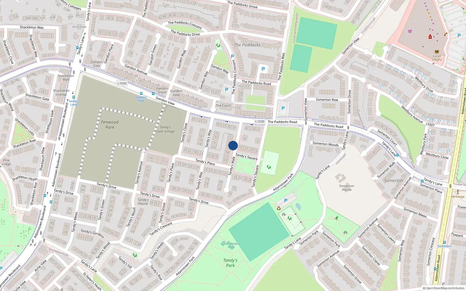 Overhead map showing the location of 10 Tandy's Lane, Lucan