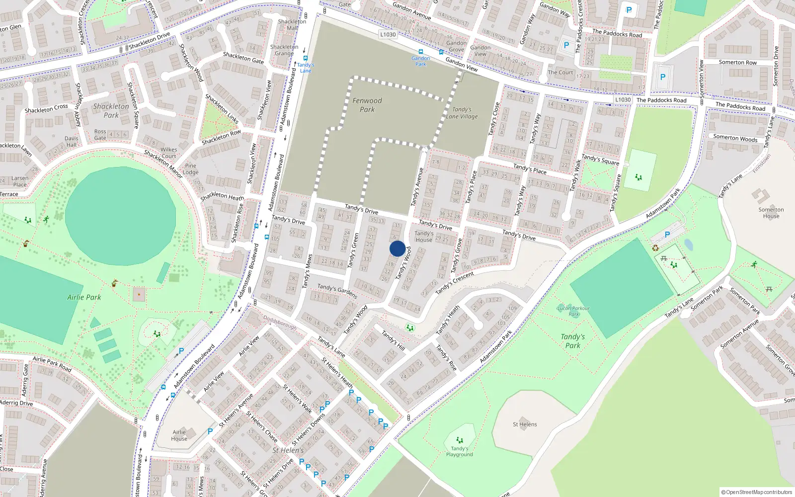 Overhead map showing the location of 10 Tandy's Wood, Adamstown, Lucan