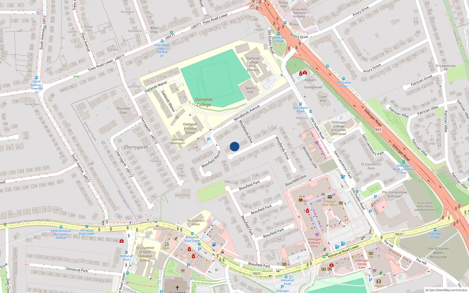 Overhead map showing the location of 10 Woodlands Drive, Dublin