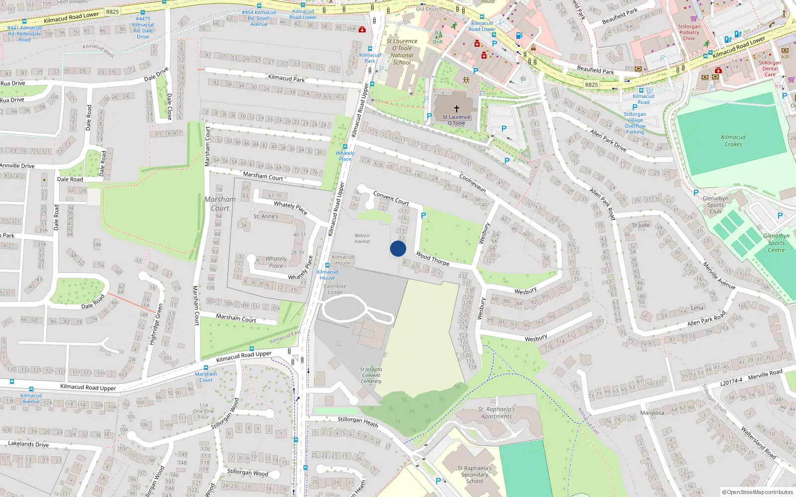 Overhead map showing the location of 10 Woodthorpe, Stillorgan, Dublin