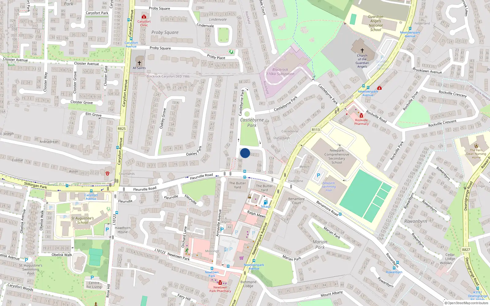 Overhead map showing the location of 100 Castlebyrne Park, Newtownpark Avenue, Blackrock