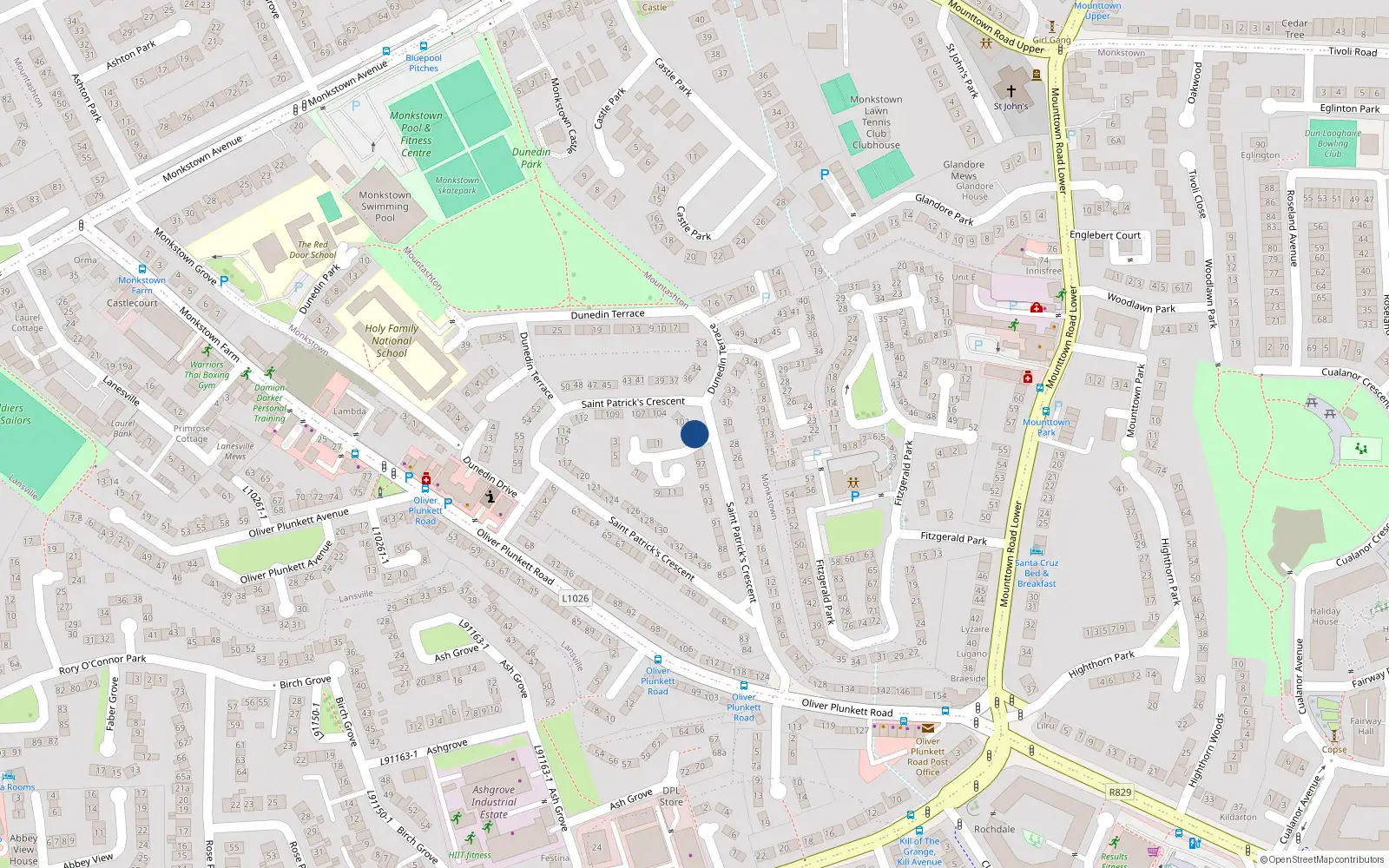 Overhead map showing the location of 100 St Patricks Crescent, Monkstown Farm, Dun Laoghaire