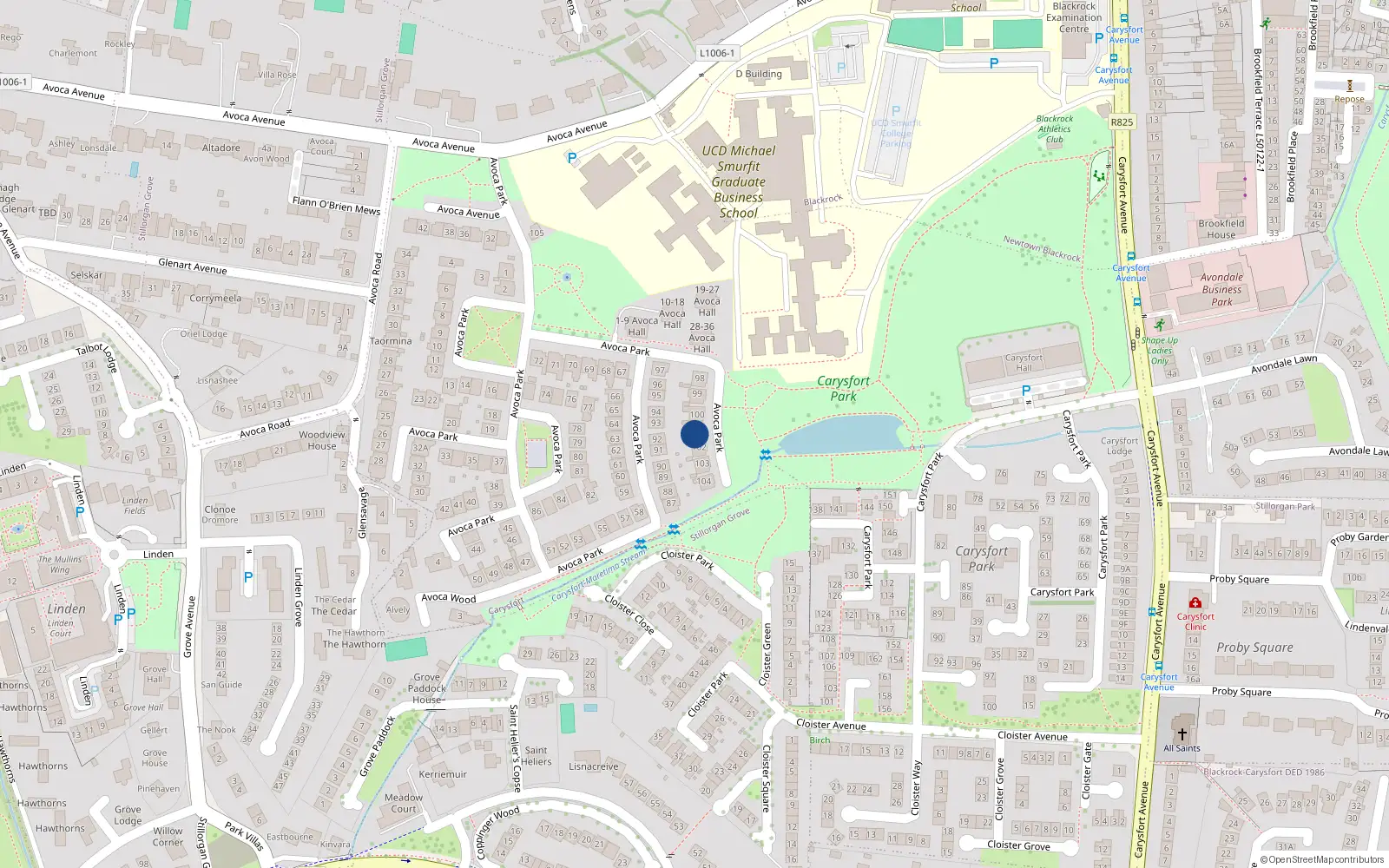 Overhead map showing the location of 101 Avoca Park, Blackrock, Dublin