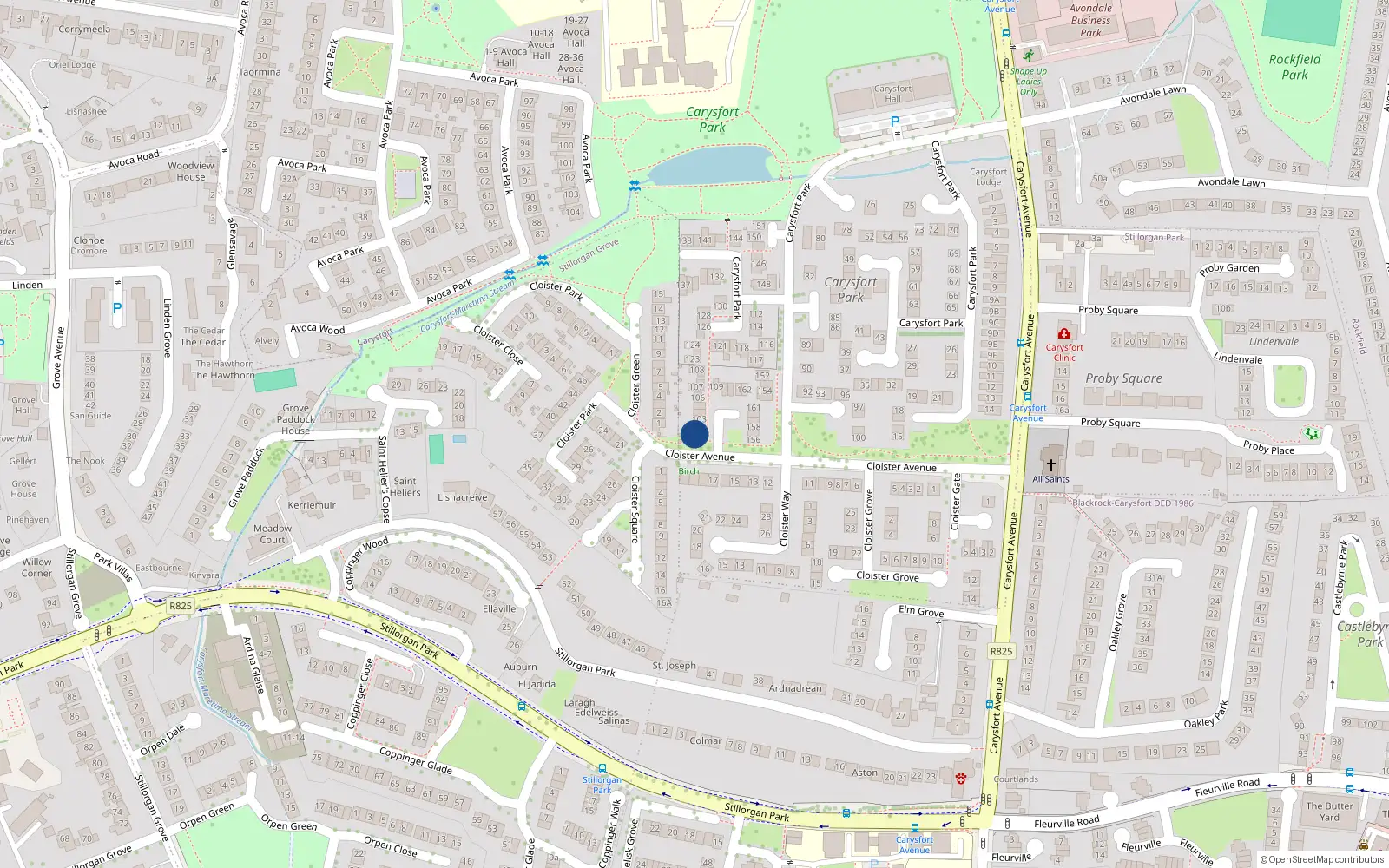 Overhead map showing the location of 101 Carysfort Park, Blackrock, Dublin