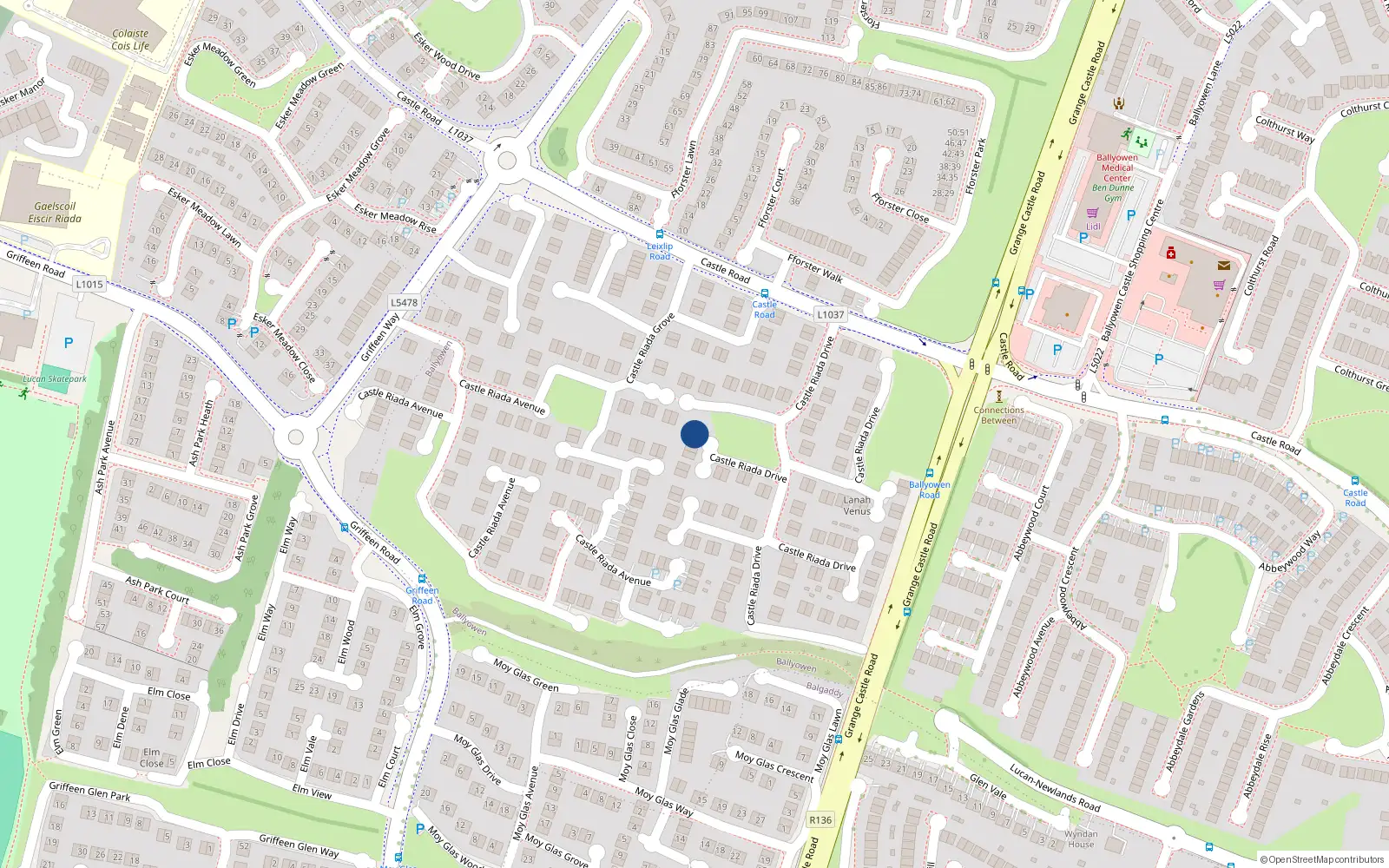 Overhead map showing the location of 101 Castle Riada Drive, Lucan