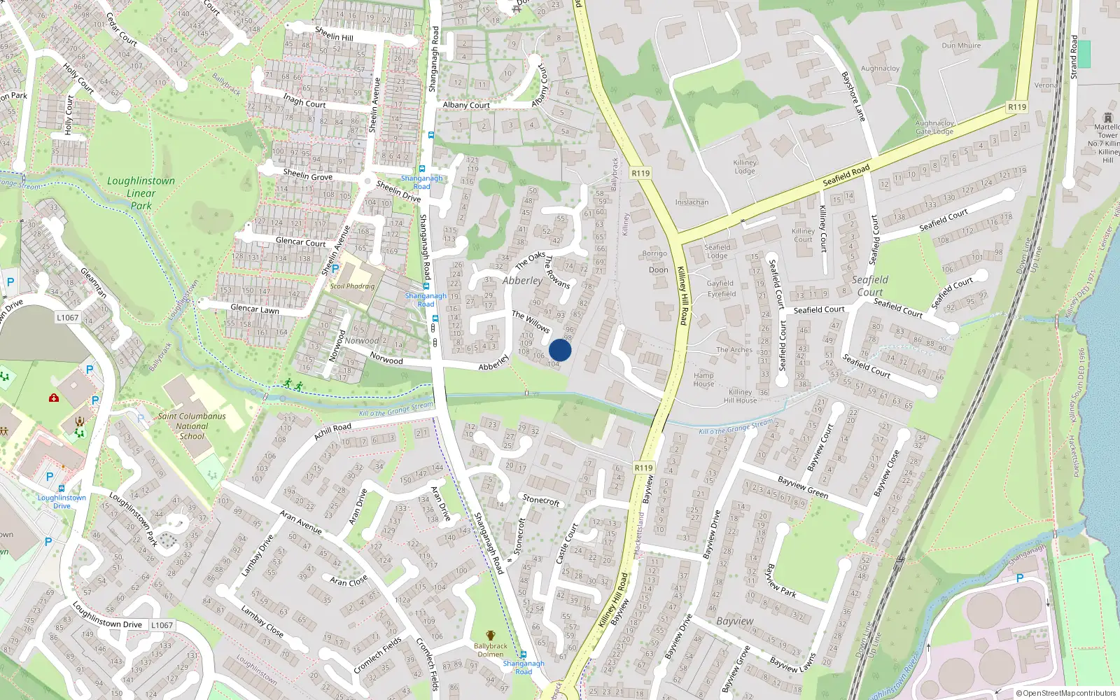 Overhead map showing the location of 101 The Willows, Killiney