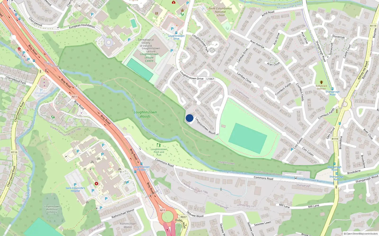 Overhead map showing the location of 102 Loughlinstown Wood, Loughlinstown, Dublin