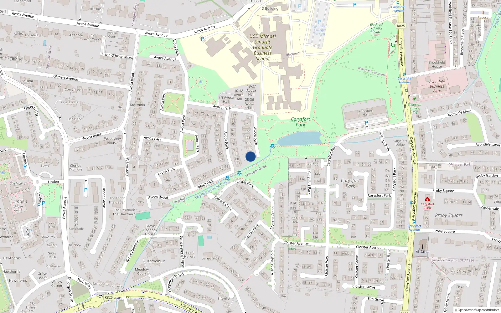 Overhead map showing the location of 104 Avoca Park, Blackrock, Dublin