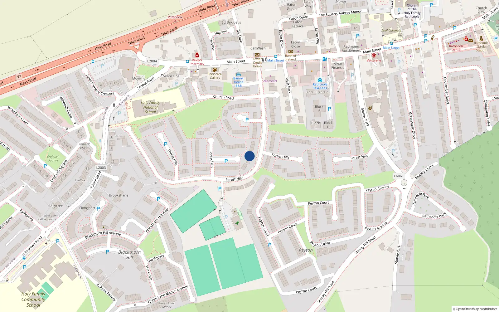 Overhead map showing the location of 105 Forest Hills, Rathcoole