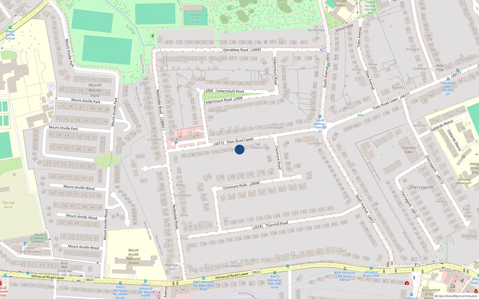 Overhead map showing the location of 106 Trees Road Upper, Blackrock