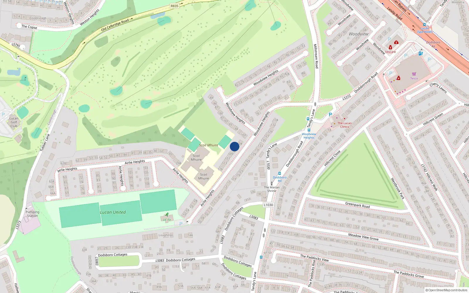 Overhead map showing the location of 106 Woodview Heights, Lucan