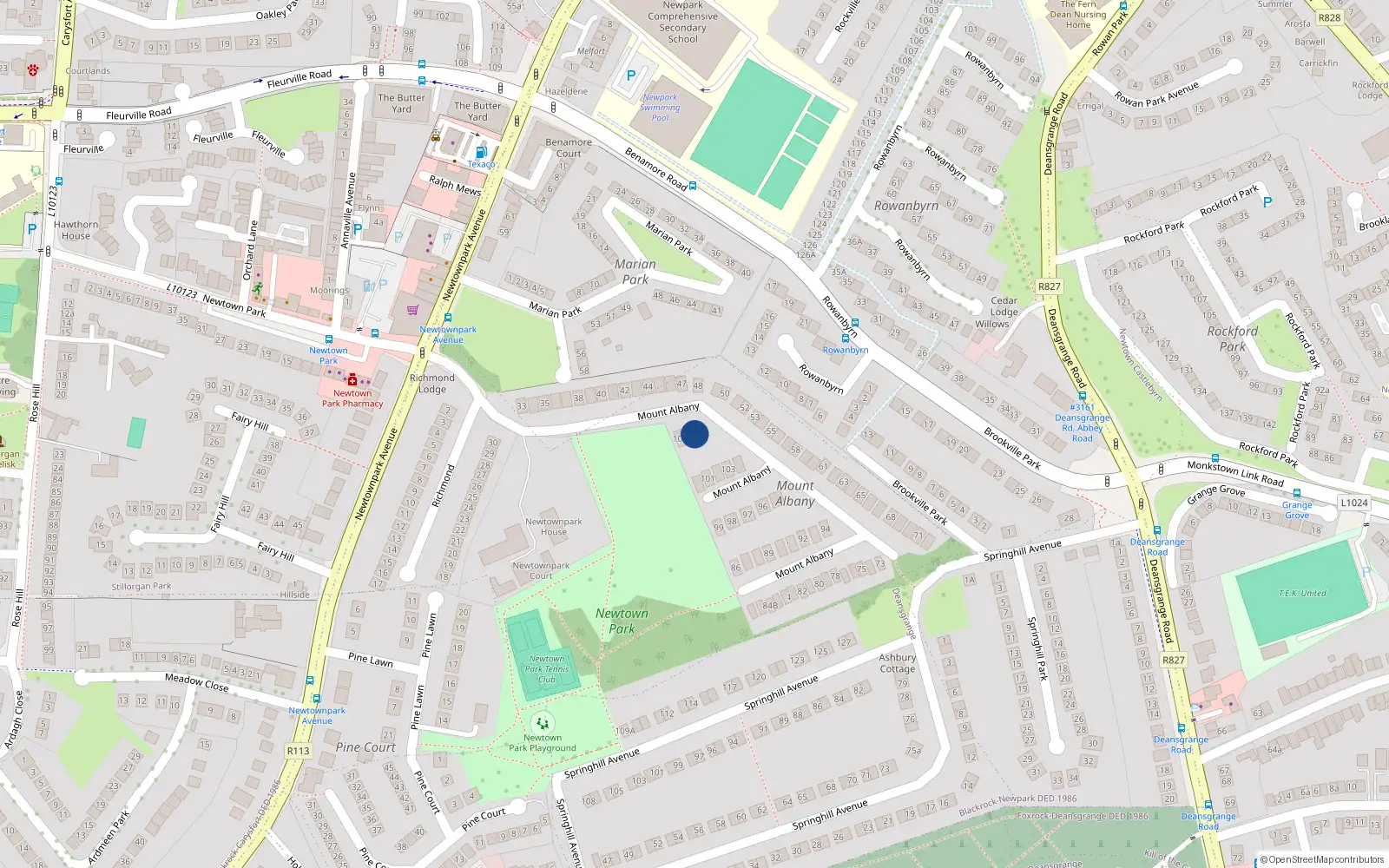 Overhead map showing the location of 107 Mount Albany, Blackrock