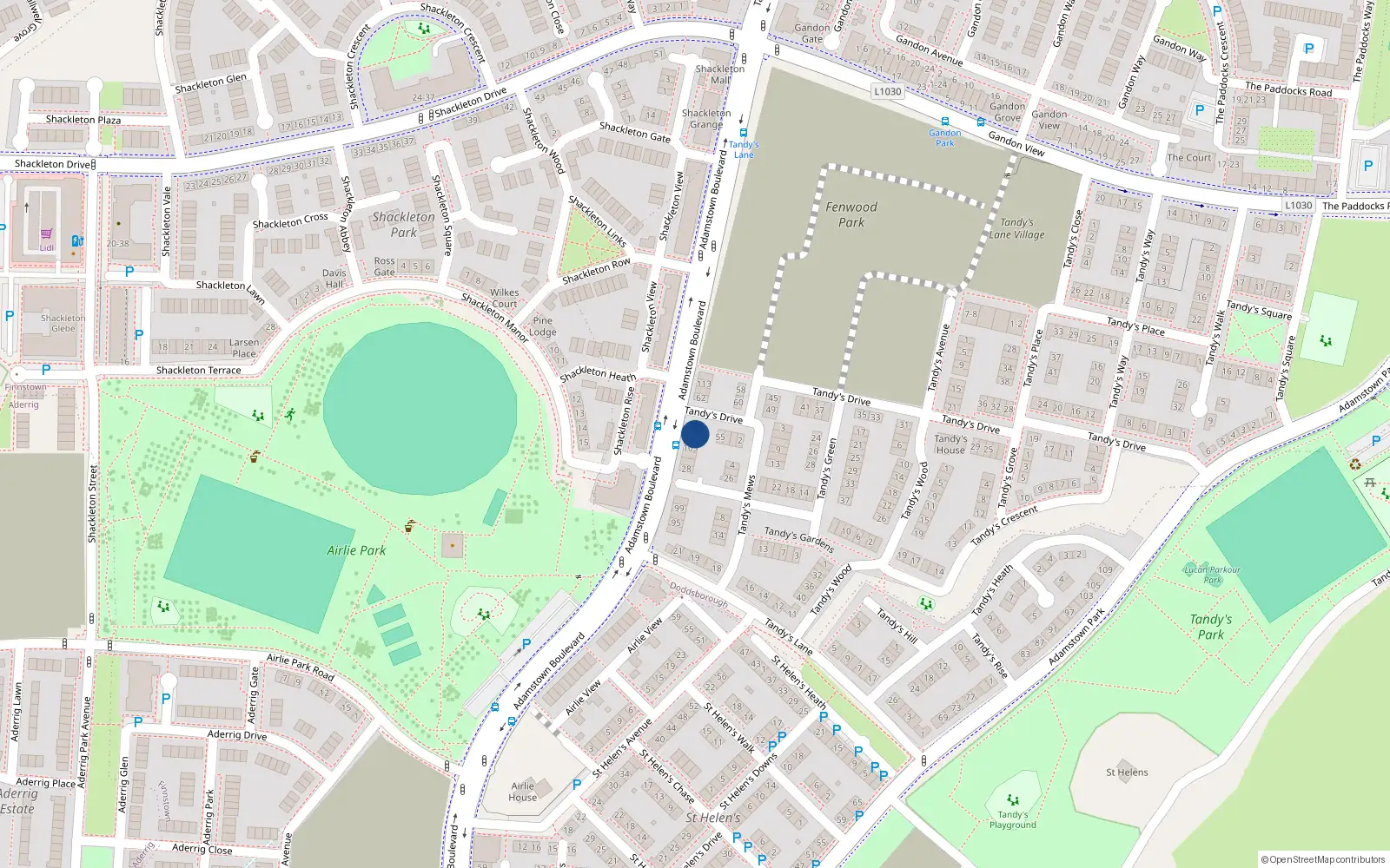 Overhead map showing the location of 109 Adamstown Boulevard, Lucan