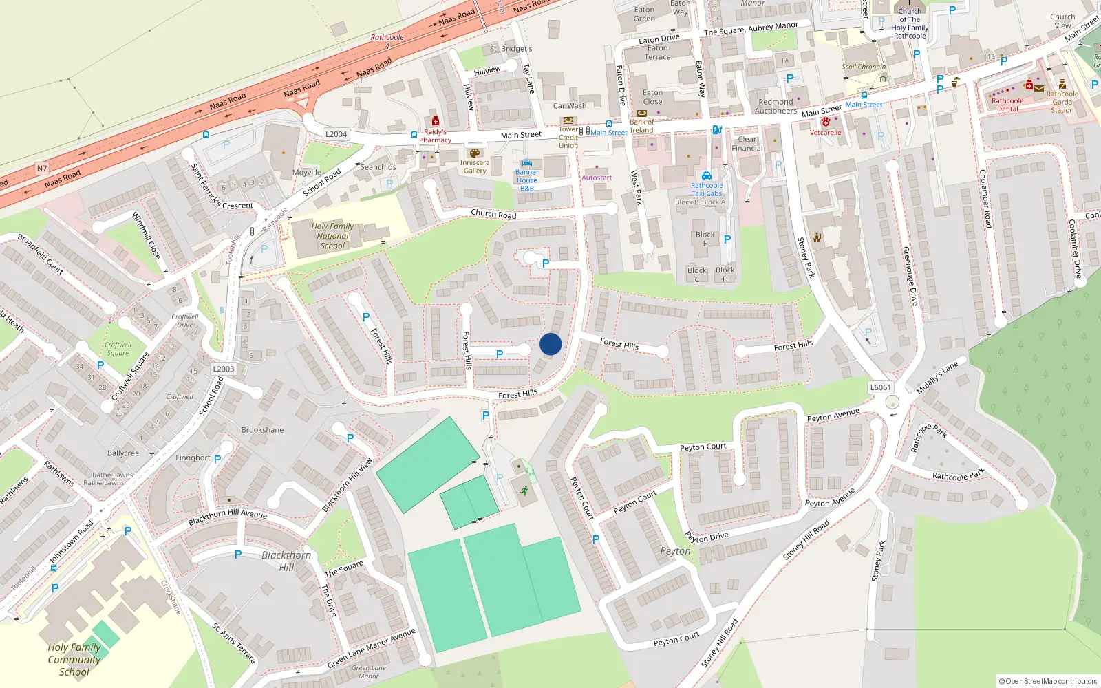 Overhead map showing the location of 109 Forest Hills, Rathcoole
