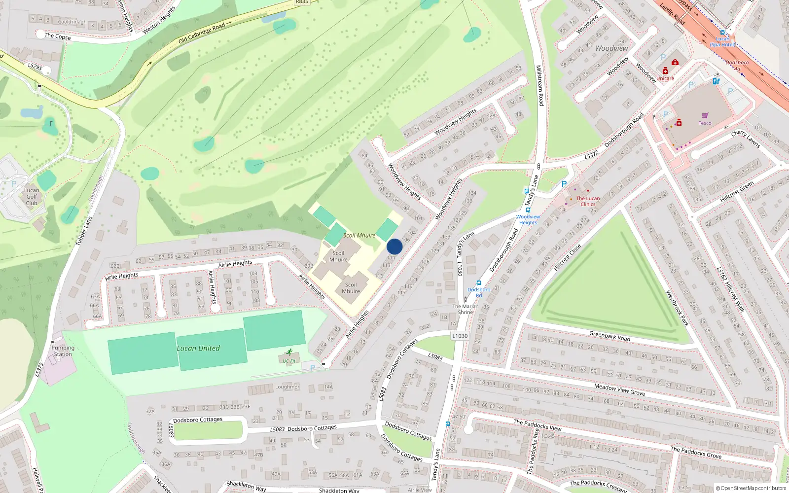 Overhead map showing the location of 109 Woodview Heights, Lucan