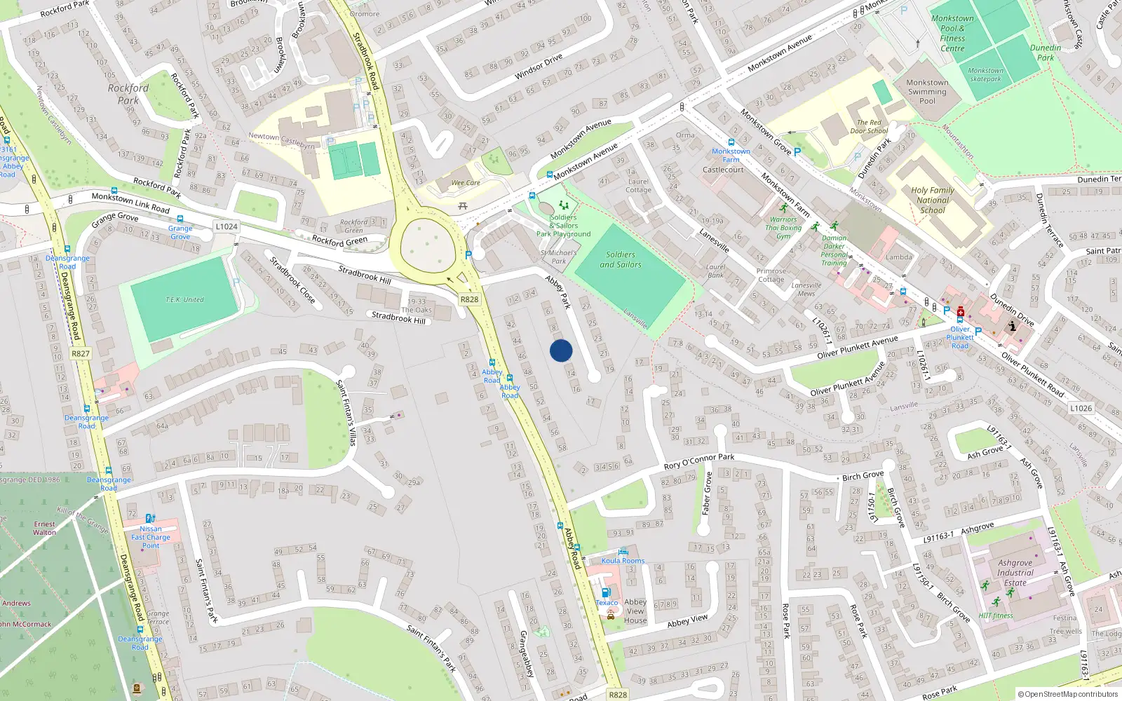Overhead map showing the location of 11 Abbey Park, Monkstown