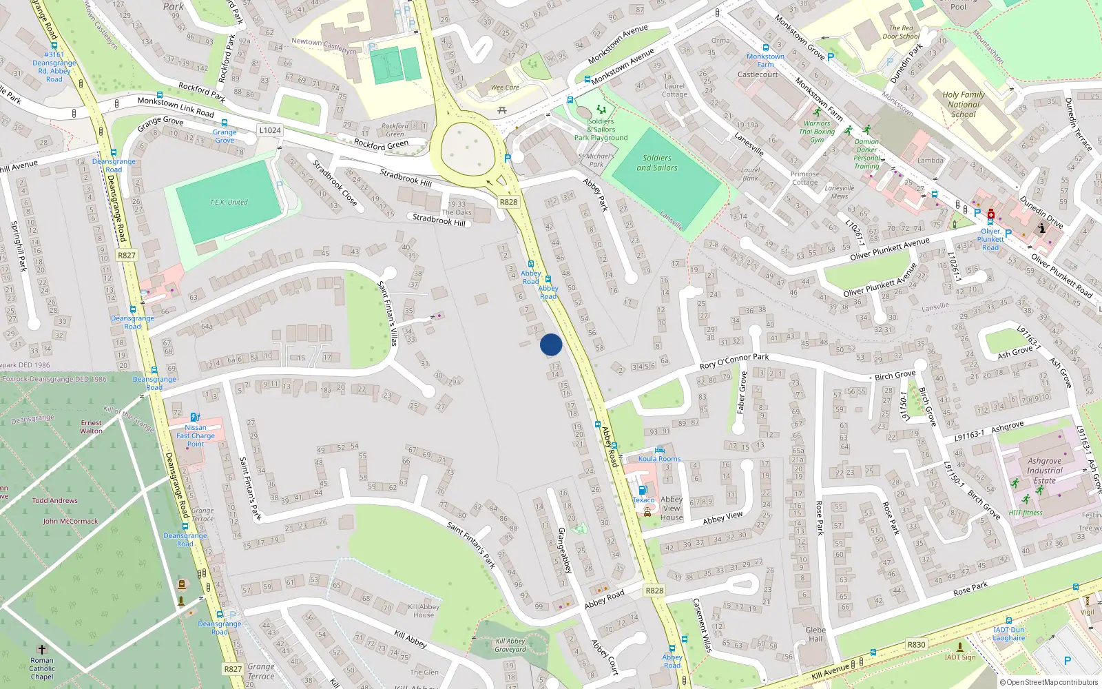 Overhead map showing the location of 11 Abbey Road, Monkstown