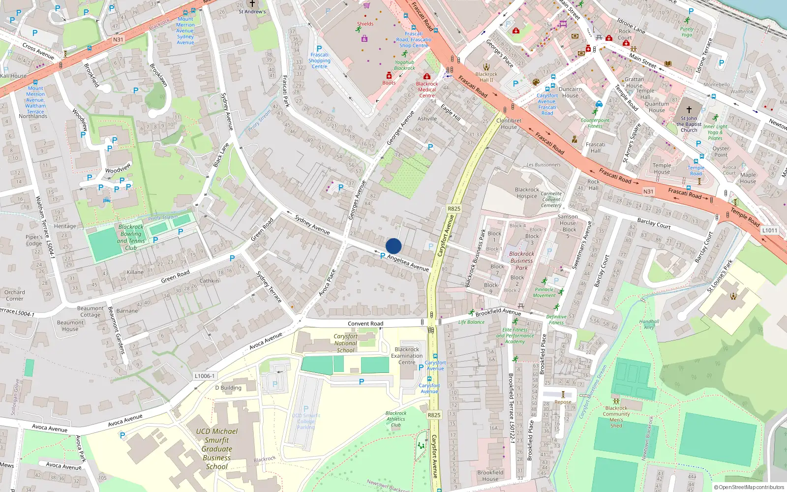 Overhead map showing the location of 11 Anglesea Avenue, Blackrock