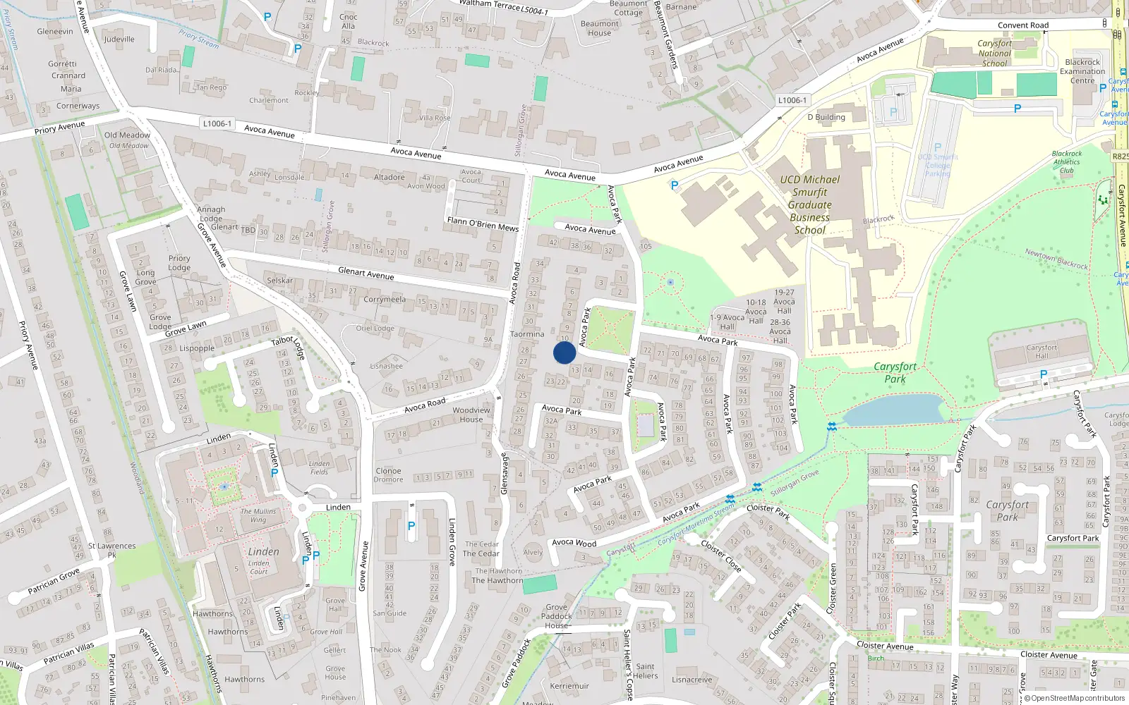 Overhead map showing the location of 11 Avoca Park, Blackrock