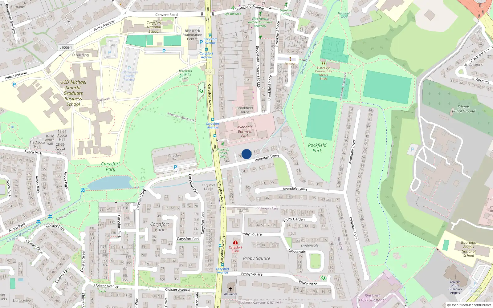 Overhead map showing the location of 11 Avondale Lawn, Blackrock, Dublin