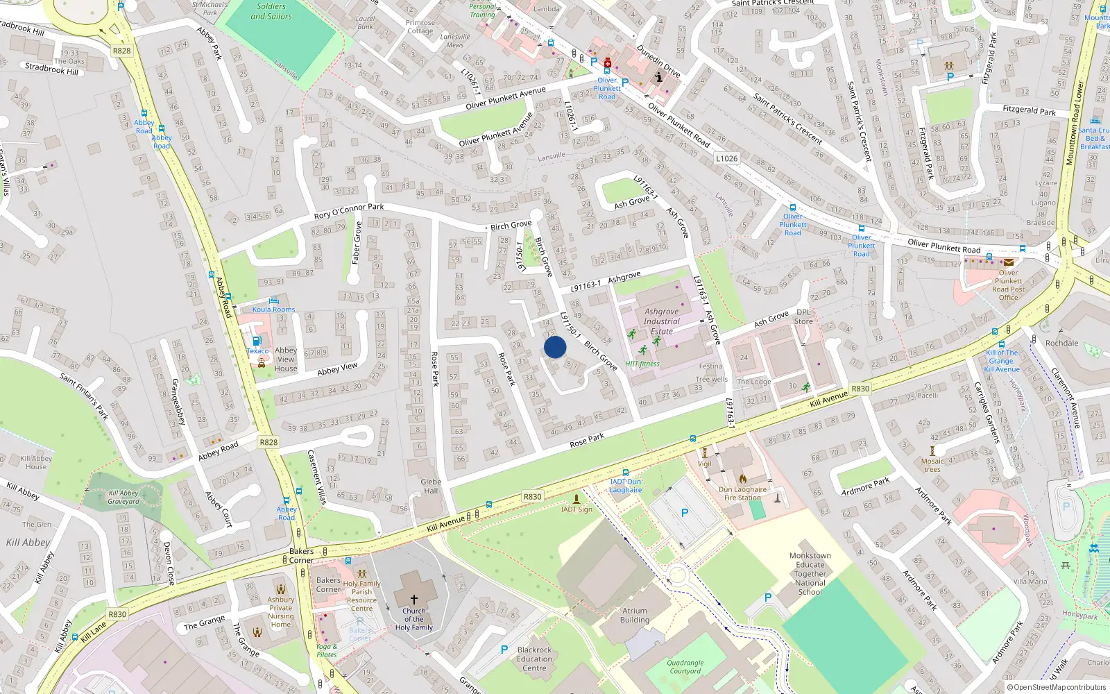 Overhead map showing the location of 11 Birch Grove, Dun Laoghaire
