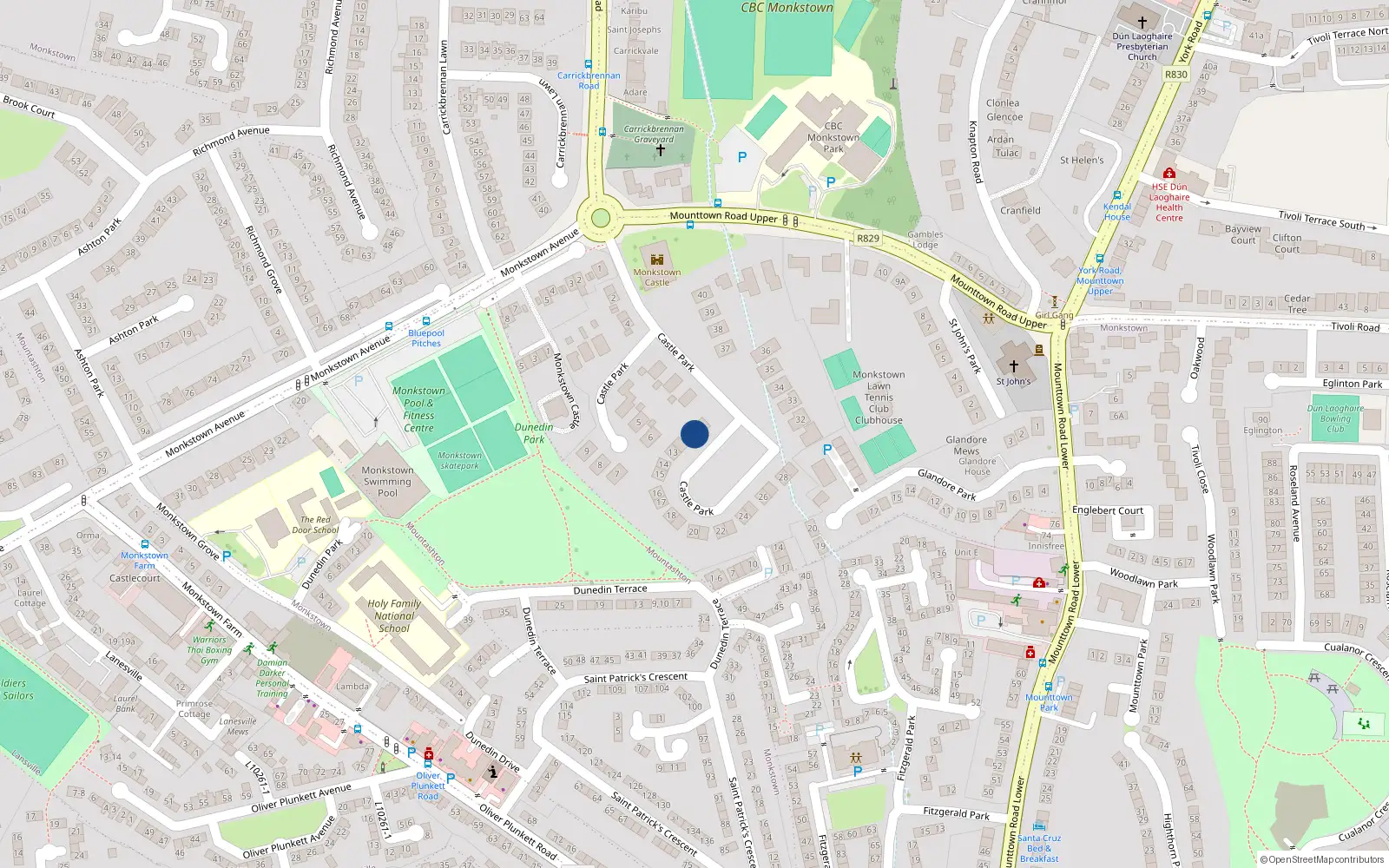 Overhead map showing the location of 11 Castle Park, Monkstown, Dublin