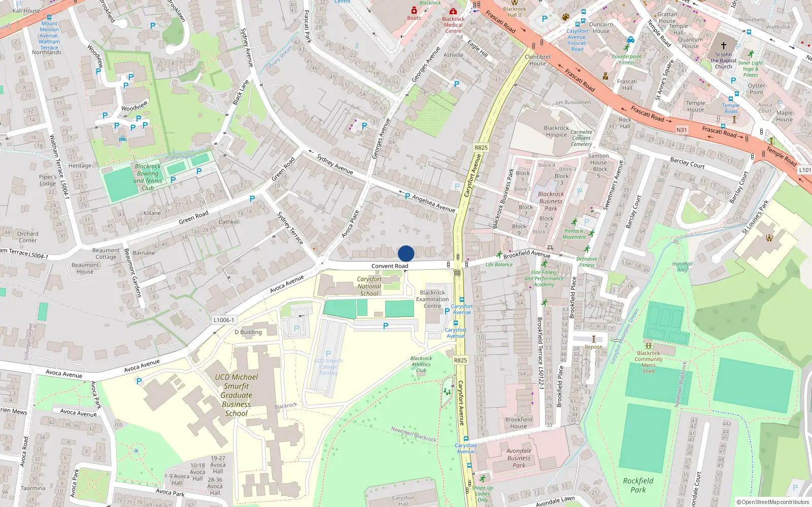 Overhead map showing the location of 11 Convent Road, Blackrock