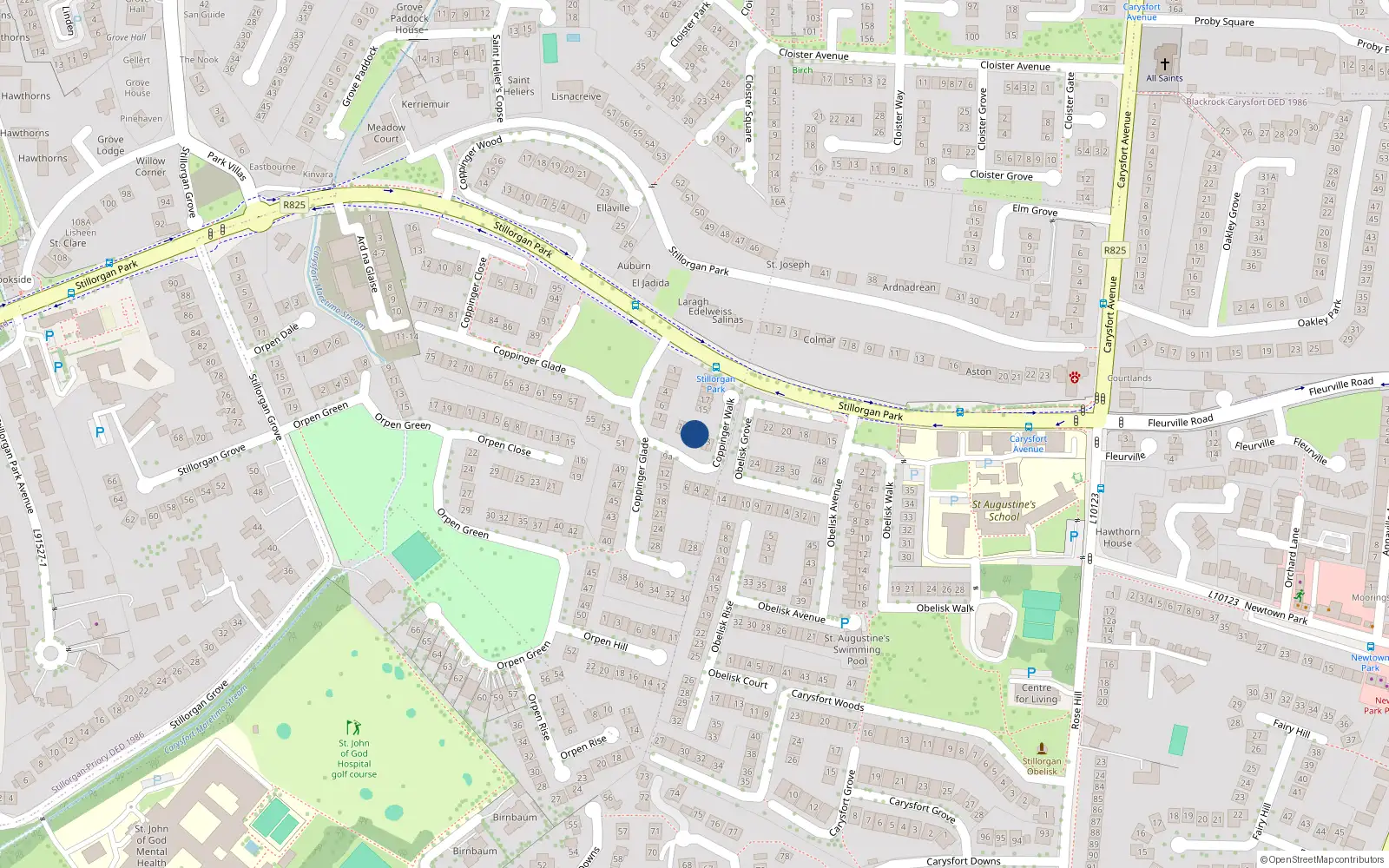 Overhead map showing the location of 11 Coppinger Walk, Co Dublin