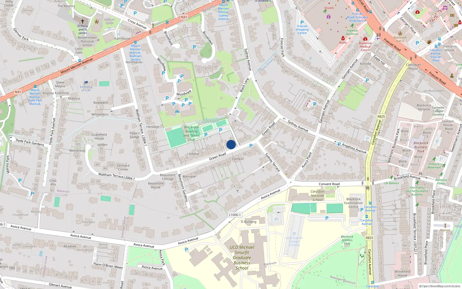 Overhead map showing the location of 11 Green Road, Blackrock