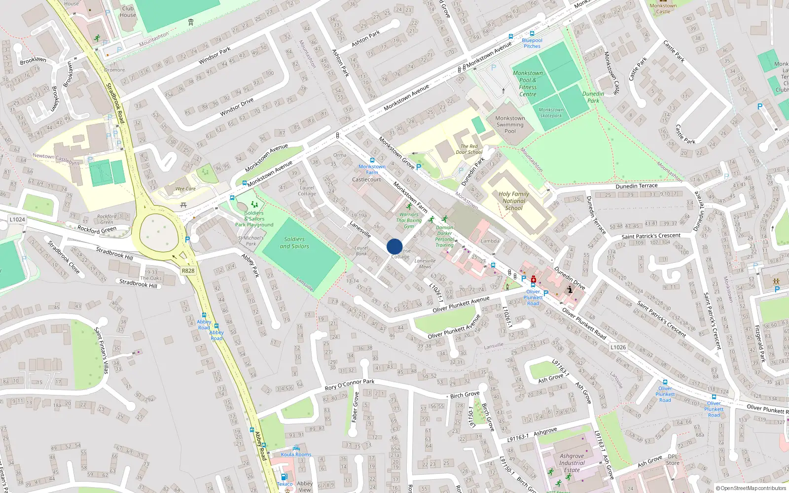 Overhead map showing the location of 11 Lanesville, Monkstown