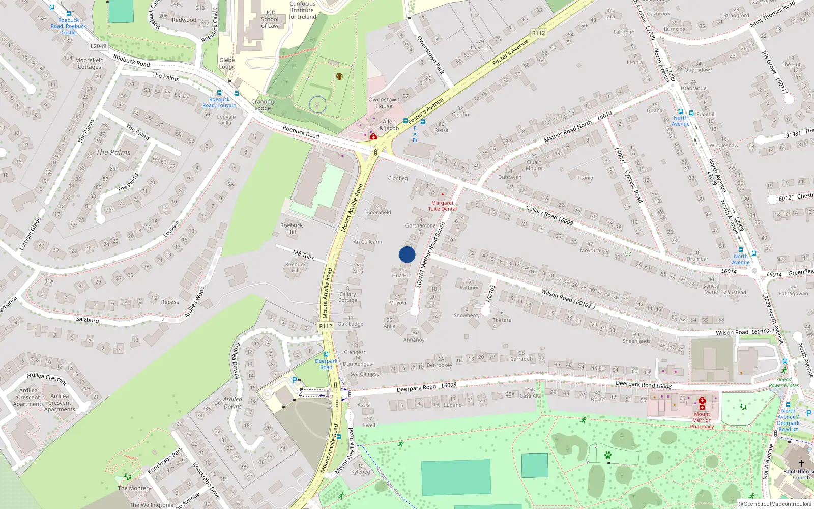 Overhead map showing the location of 11 Mather Road South, Blackrock