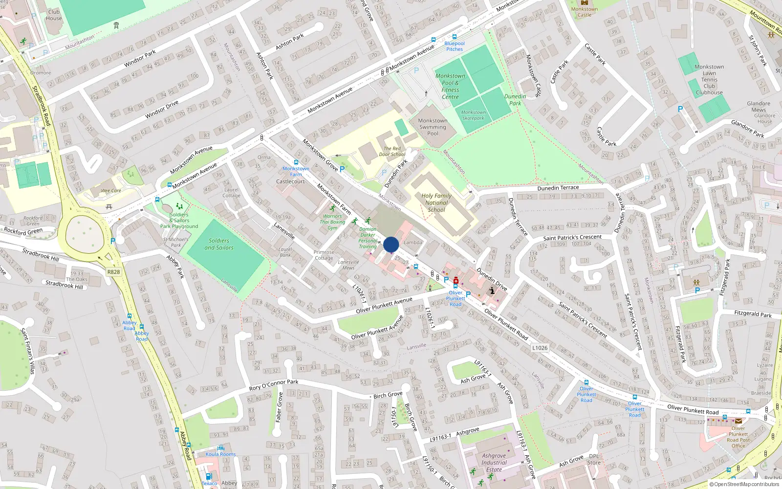 Overhead map showing the location of 11 Monkstown Court, Monkstown