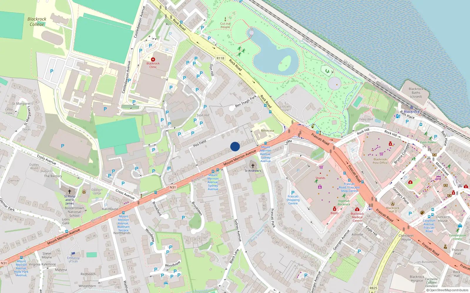 Overhead map showing the location of 11 Mount Merrion Avenue, Blackrock