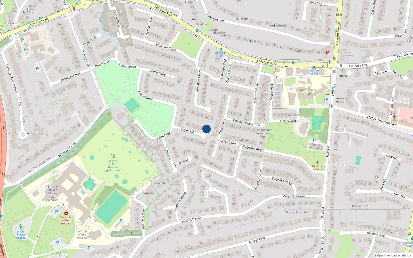 Overhead map showing the location of 11 Orpen Hill, Blackrock