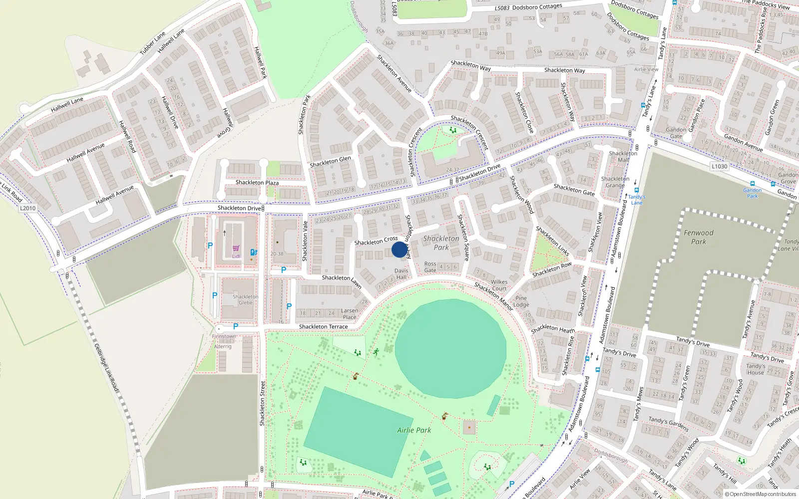 Overhead map showing the location of 11 Shackleton Abbey, Lucan
