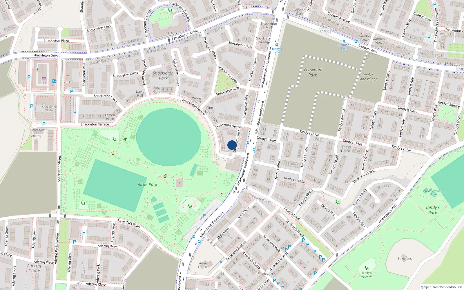 Overhead map showing the location of 11 Shackleton Rise, Shackleton Park, Lucan