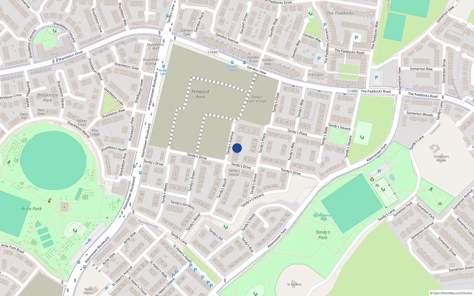 Overhead map showing the location of 11 Tandy's Avenue, Adamstown