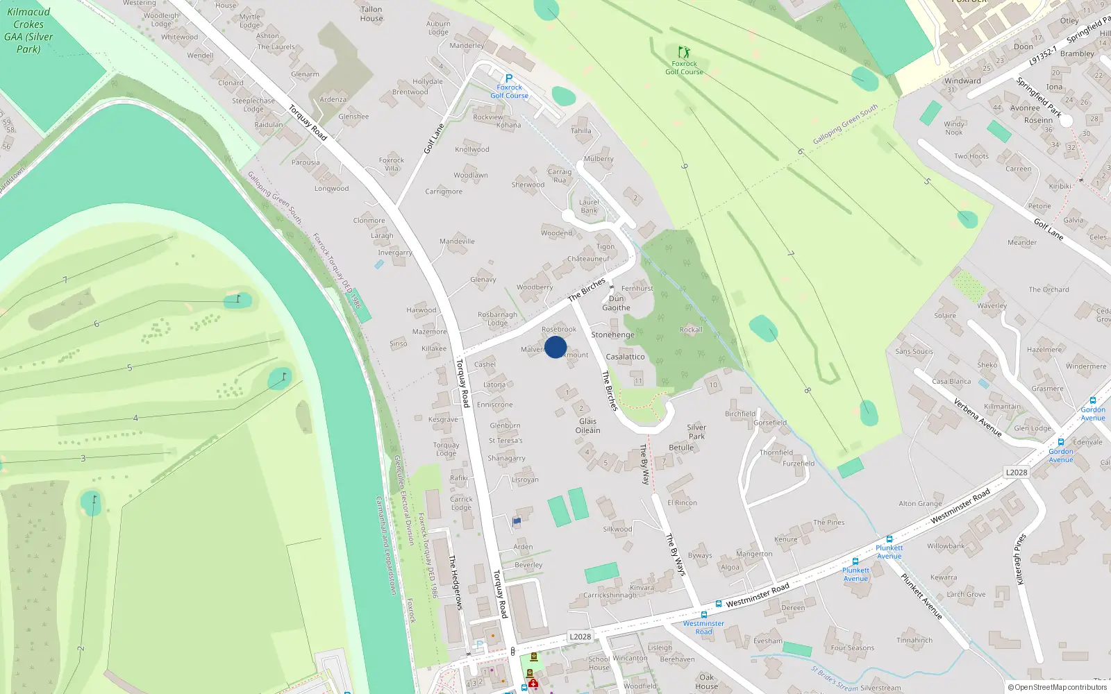 Overhead map showing the location of 11 The Birches, Foxrock