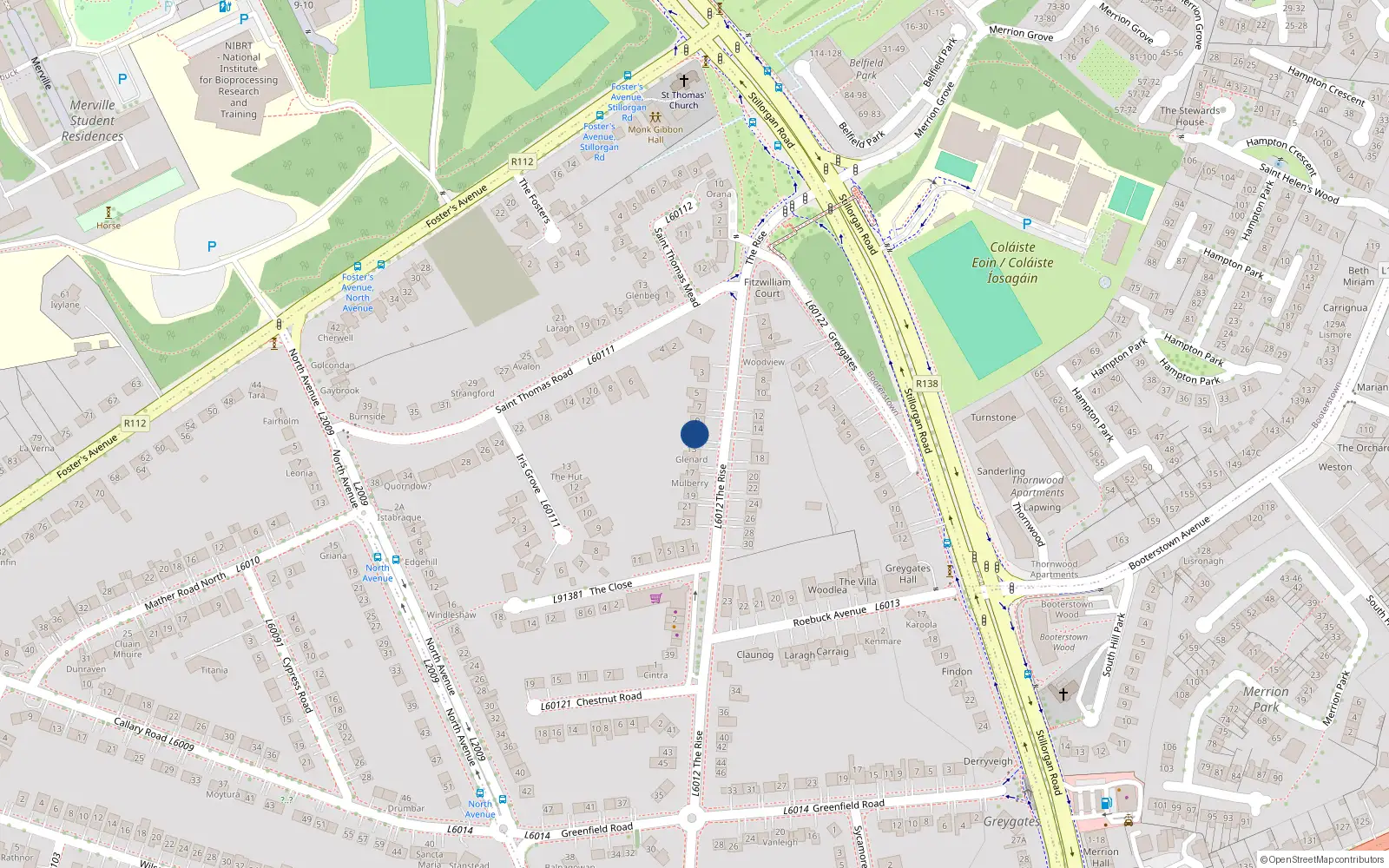 Overhead map showing the location of 11 The Rise, Blackrock