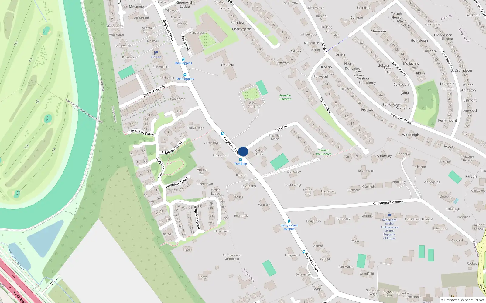 Overhead map showing the location of 11 Tresilian, Foxrock