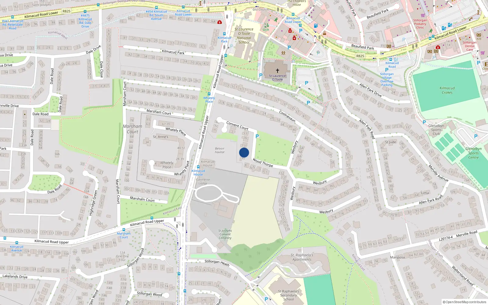 Overhead map showing the location of 11 Woodthorpe, Blackrock