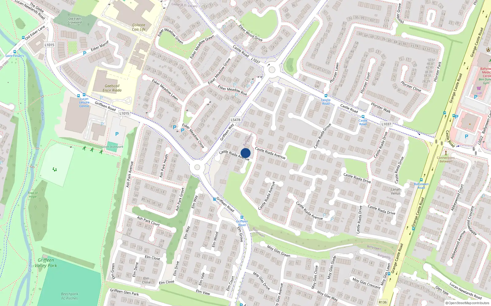Overhead map showing the location of 110 Castle Riada Avenue, Lucan