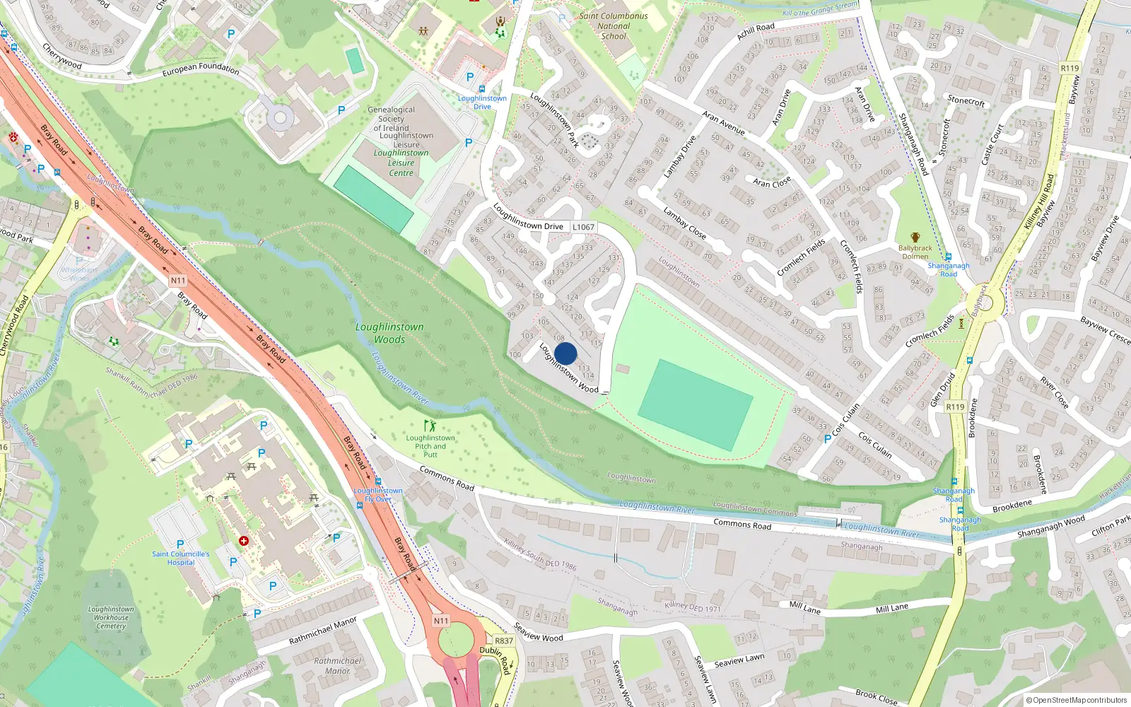 Overhead map showing the location of 110 Loughlinstown Wood, Loughlinstown, Dublin