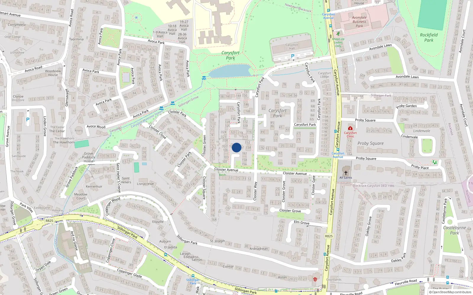 Overhead map showing the location of 111 Carysfort Park, Blackrock, Dublin