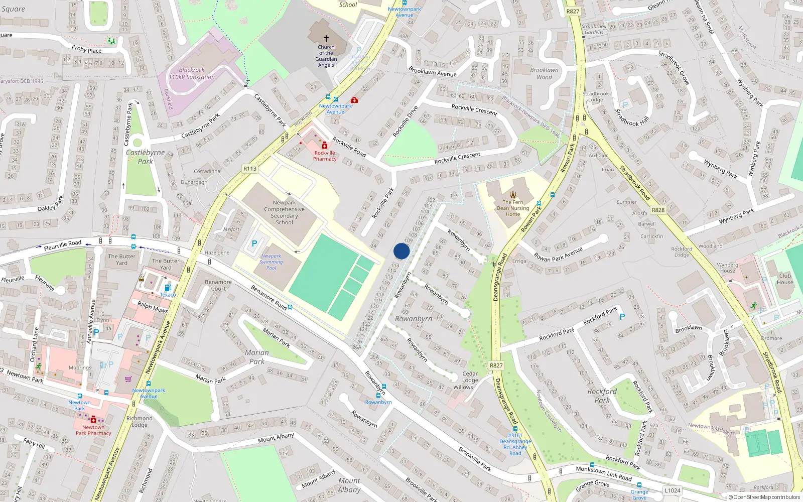 Overhead map showing the location of 111 Rowanbyrn, Blackrock