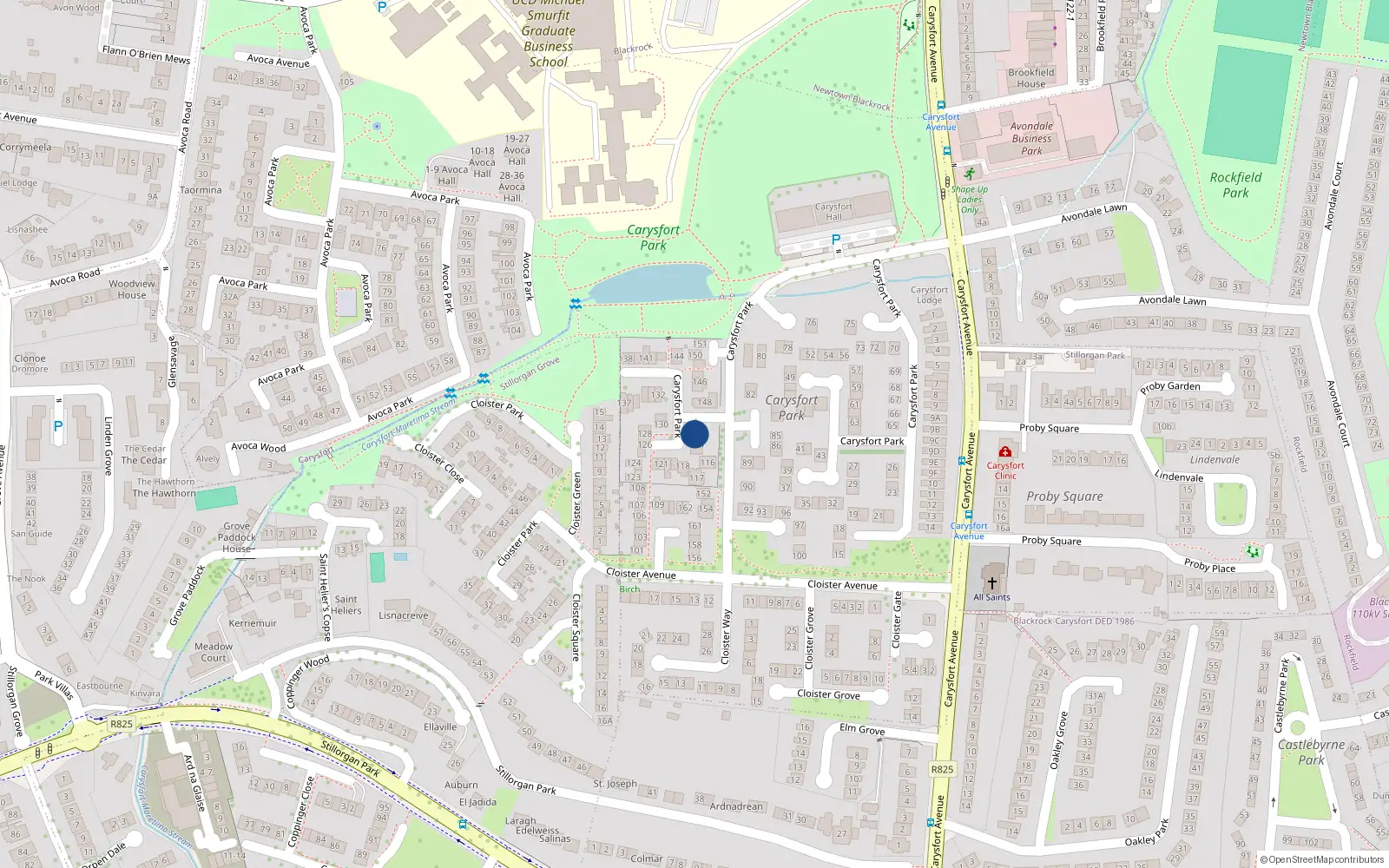 Overhead map showing the location of 112 Carysfort Park, Blackrock, Dublin