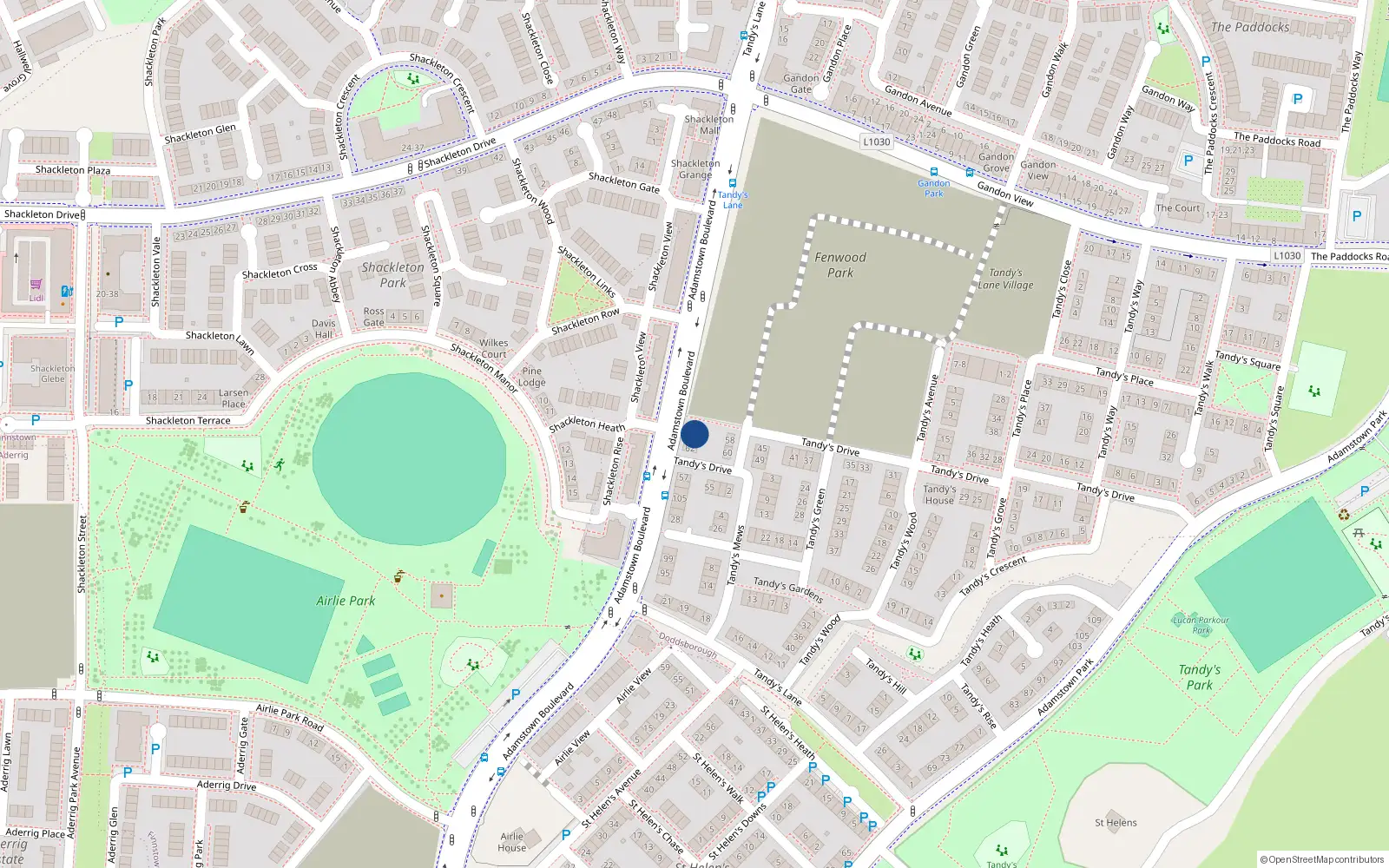 Overhead map showing the location of 113 Adamstown Boulevard, Lucan