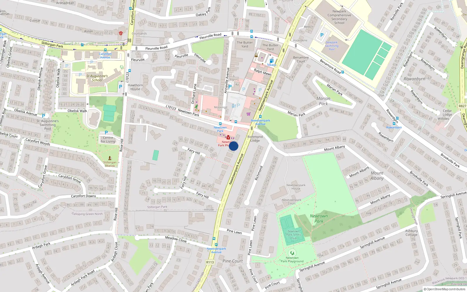 Overhead map showing the location of 113 Newtownpark Avenue, Blackrock, Dublin